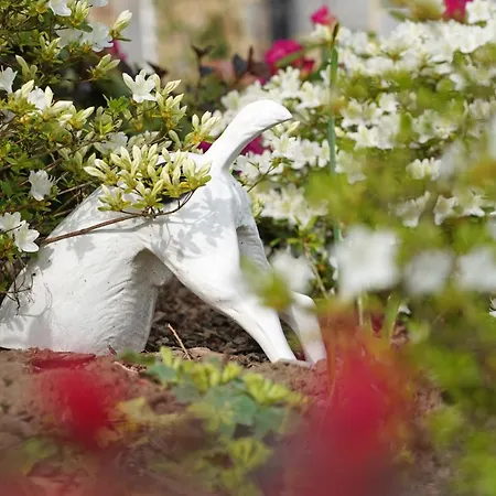 Du Jardin Σπίτι διακοπών Theux